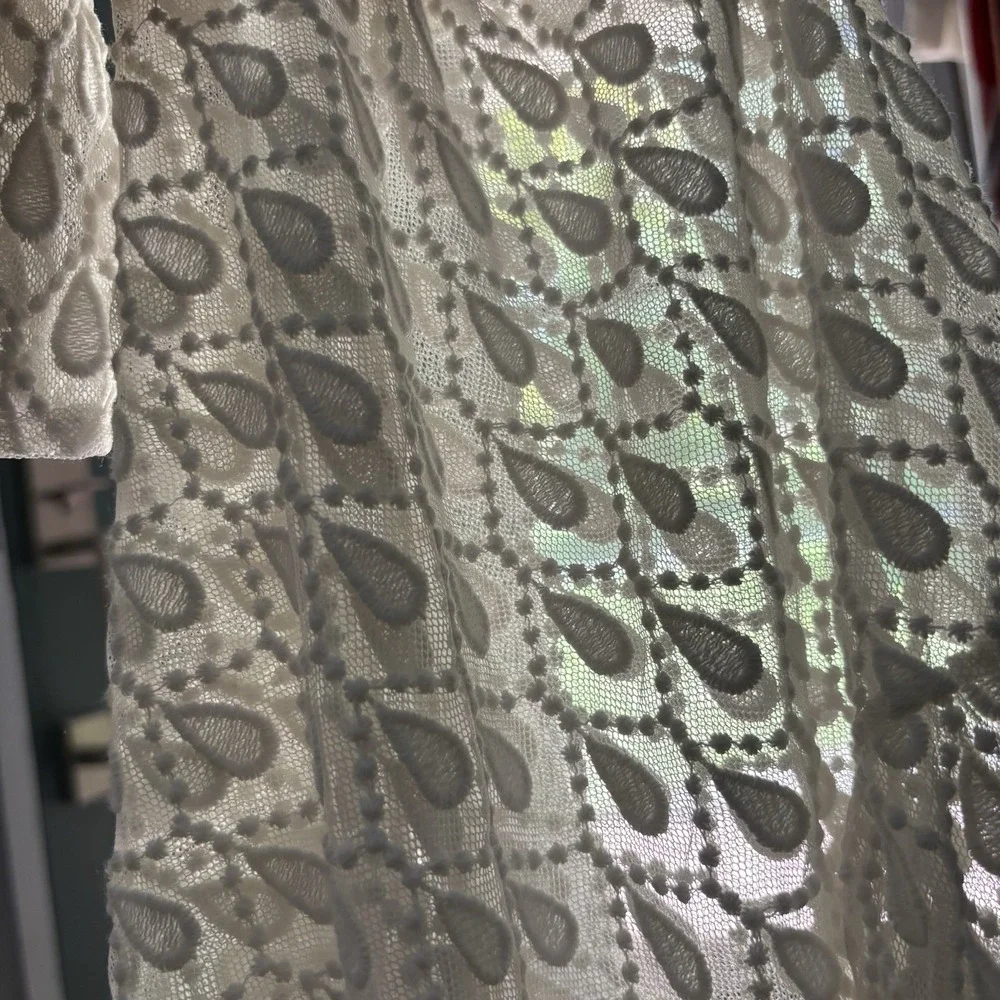 H&M Long Sleeve Sheer Lace Cream Ivory‎ Peplum Blouse M? Festival Witchy Fairy